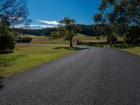 a gravel road leads through a green pasture and a fence, trees and a blue sky