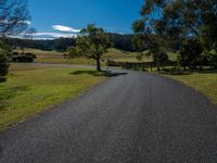 a gravel road leads through a green pasture and a fence, trees and a blue sky