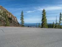 the curved road is near an evergreen mountain side area with rocks and trees in winter