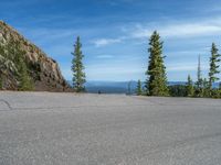 the curved road is near an evergreen mountain side area with rocks and trees in winter