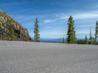 the curved road is near an evergreen mountain side area with rocks and trees in winter