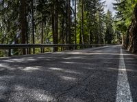 Scenic Asphalt Road through Forest in Austria