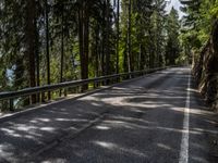 Scenic Asphalt Road through Forest in Austria