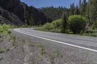 Scenic Asphalt Road Through Forest