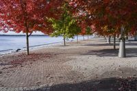 Scenic Autumn Landscape in Toronto, Ontario, Canada