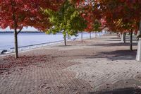 Scenic Autumn Landscape in Toronto, Ontario, Canada