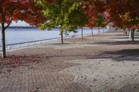 Scenic Autumn Landscape in Toronto, Ontario, Canada