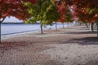 Scenic Autumn Landscape in Toronto, Ontario, Canada