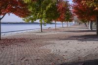 Scenic Autumn Landscape in Toronto, Ontario, Canada