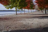 Scenic Autumn Landscape in Toronto, Ontario, Canada