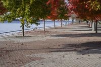 Scenic Autumn Landscape in Toronto, Ontario, Canada