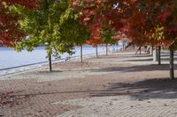 Scenic Autumn Landscape in Toronto, Ontario, Canada