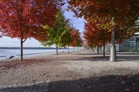 Scenic Autumn Landscape in Toronto, Ontario, Canada