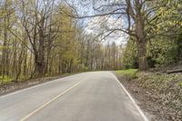 a deserted road in the woods with trees all around it and one person riding a bike