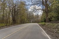 a deserted road in the woods with trees all around it and one person riding a bike