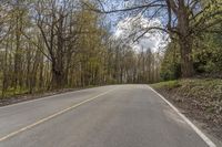 a deserted road in the woods with trees all around it and one person riding a bike