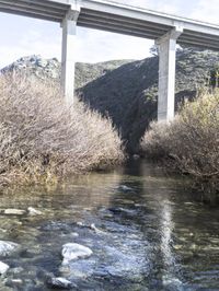 a bridge that is next to some water and rocks in the grass and trees around