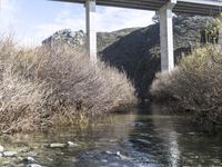 a bridge that is next to some water and rocks in the grass and trees around