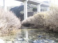 a bridge that is next to some water and rocks in the grass and trees around