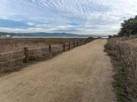 Scenic Coastal Road in California, USA