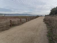 Scenic Coastal Road in California, USA