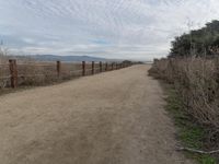 Scenic Coastal Road in California, USA