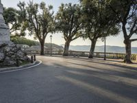 a city road going down the hill with trees on both sides of it and a stone block in the middle of the street