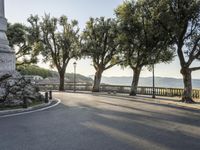 a city road going down the hill with trees on both sides of it and a stone block in the middle of the street