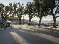 a city road going down the hill with trees on both sides of it and a stone block in the middle of the street