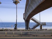 a long bridge spanning over the ocean and under it is palm trees and a bench