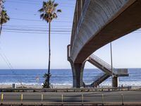 a long bridge spanning over the ocean and under it is palm trees and a bench