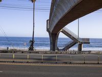 a long bridge spanning over the ocean and under it is palm trees and a bench