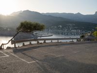 a lone bench by the ocean with mountains in the background and a tree growing out of it