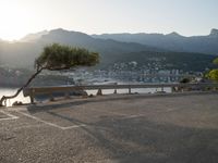 a lone bench by the ocean with mountains in the background and a tree growing out of it