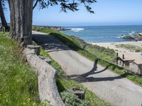 the road is long and curved by a large tree over looking the beach area of the ocean