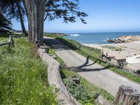 the road is long and curved by a large tree over looking the beach area of the ocean