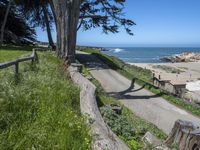 the road is long and curved by a large tree over looking the beach area of the ocean