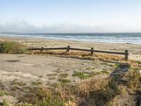 a beach with an empty road by the water and grass by the shore line and a bench is in front of the sand