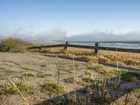 a beach with an empty road by the water and grass by the shore line and a bench is in front of the sand