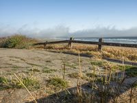 a beach with an empty road by the water and grass by the shore line and a bench is in front of the sand