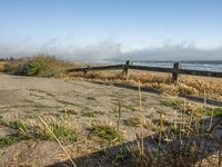 a beach with an empty road by the water and grass by the shore line and a bench is in front of the sand