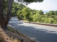 a person riding down a hill with trees on both sides of the road and hills covered in green vegetation
