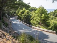 a person riding down a hill with trees on both sides of the road and hills covered in green vegetation