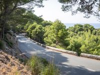 a person riding down a hill with trees on both sides of the road and hills covered in green vegetation