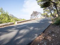 a person riding down a hill with trees on both sides of the road and hills covered in green vegetation