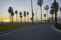 Scenic Coastal Road in Los Angeles, California, USA at Dawn