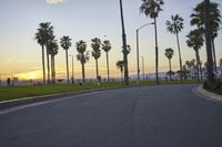 Scenic Coastal Road in Los Angeles, California, USA at Dawn