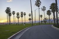 Scenic Coastal Road in Los Angeles, California, USA at Dawn