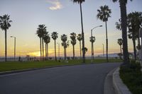 Scenic Coastal Road in Los Angeles, California, USA at Dawn