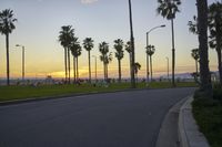 Scenic Coastal Road in Los Angeles, California, USA at Dawn